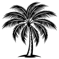 palm tree silhouette vector illustration