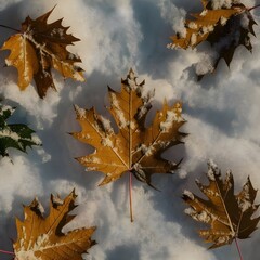 A picture of a leaf that is on a snowy day.
