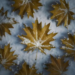 A picture of a leaf that is on a snowy day.