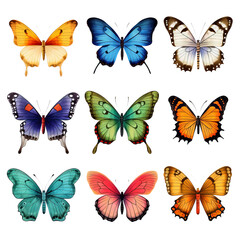 Fototapeta premium Collection colorful butterfly in various colors and patterns, perfect for nature-themed projects or illustrations. Insect.