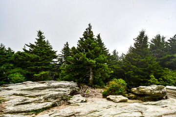 Obraz premium Grandfather Mountain