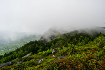Grandfather Mountain