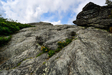 Grandfather Mountain