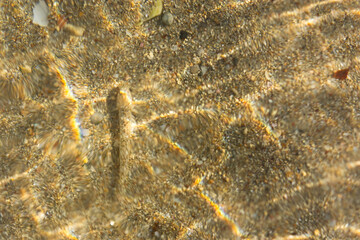 Texture of sea water with sand. Trendy light beige iridescent color of sea water. Set Sail Champagne warm sea sand in the sun. Abstract natural background. Layout for Wallpapers, postcards, banners.