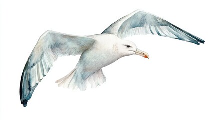 Obraz premium A graceful seagull soaring through the sky, showcasing its wings in a light-filled coastal environment