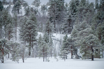 Snow landscape in the mountains of arctic Norway in winter