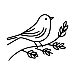 Bird line art Victor illustration with white background 