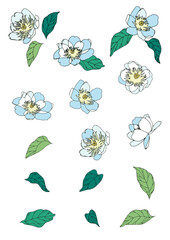 芍薬の花のイラストセット