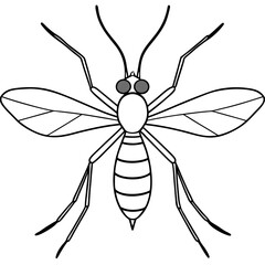 dragonfly illustration