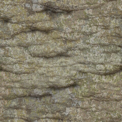 Naklejka premium A surface of a stone texture background, Trendy template inspiration for your design.