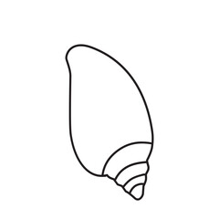 Shell Icon Vector