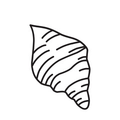 Shell Icon Vector