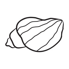 Shell Icon Vector