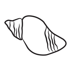 Shell Icon Vector