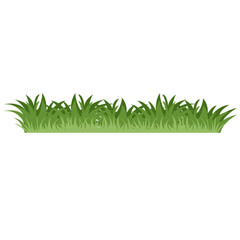 Green Grass Illustration