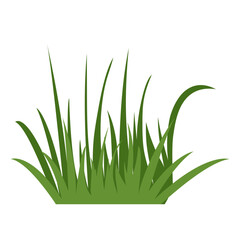 Green Grass Illustration