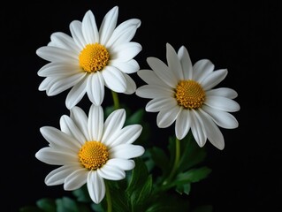 White Flowers on Green Plant
