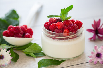 homemade food, milk yogurt with fresh raspberries