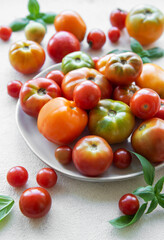 Fresh assorted  tomatoes arranged on a white plate with green basil leaves in a bright kitchen setting
