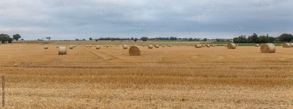 Poster A panoramic rural landscape of an agricultural field containing large round bales of straw. There are no people and space for text