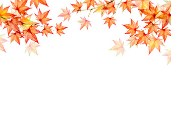 Fototapeta premium 紅葉 秋 背景 フレーム 水彩 イラスト
