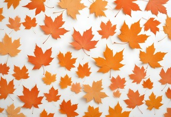 Orange maple leaves on a white background