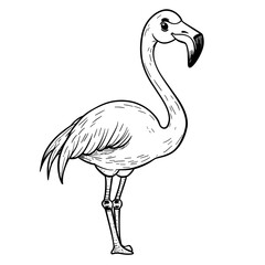 Flamingo coloring vector art and illustration
