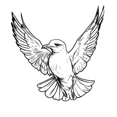 Obraz premium Seagull flying illustration coloring page for kids