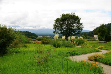 It feels like Autumn is coming