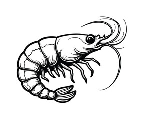 Shrimp Sea Animal Vector