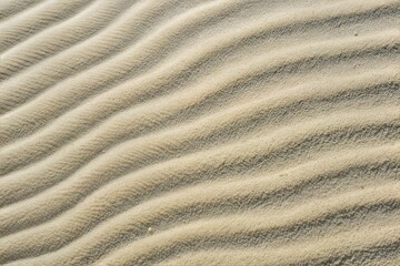 Textured sand dunes with ripples in golden hues