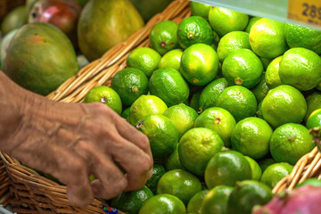 Mature man picks fresh lime fruit in supermarket close-up.