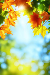 Obraz premium Autumn scene with red leaves and copy space