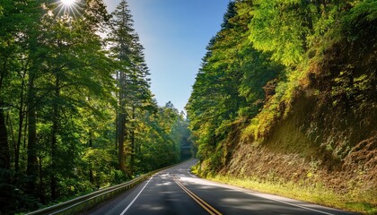 Obraz premium Scenic Road through Lush Green Forest Landscape