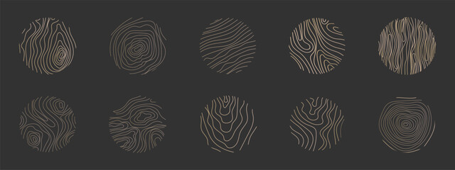 Golden thin line tree ring collection. Elegant gold wooden section texture circle. Topography map geographic grid contour. Wood stump timber.