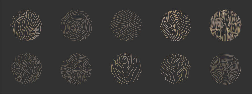Golden thin line tree ring collection. Elegant gold wooden section texture circle. Topography map geographic grid contour. Wood stump timber.
