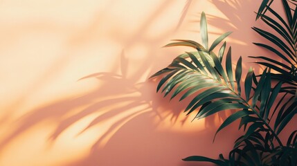 Palm leaves casting shadow on peach background. Perfect for summer, tropical, or nature-themed designs.