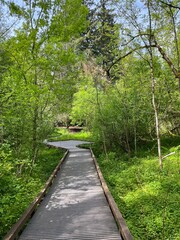 Green trail