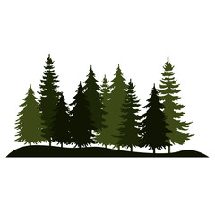 Fototapeta premium Pine Tree Silhouette