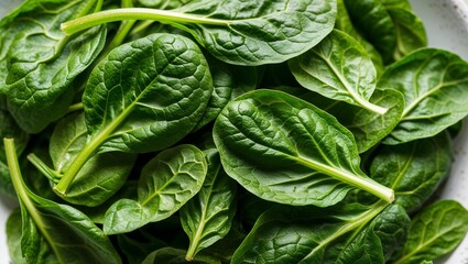 Fototapeta premium Fresh spinach leaves with crisp texture closeup