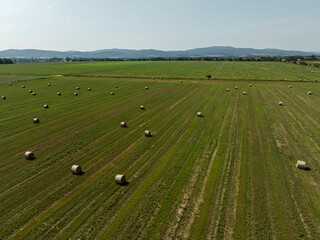 Aerial View of Summer Field Landscape With With Dry Hay Bales During Harvest. Green field in the countryside in summer full of straw bales in the Opole province in Poland.