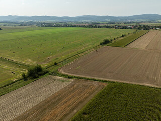 Obraz premium Aerial View of Summer Field Landscape With With Dry Hay Bales During Harvest. Green field in the countryside in summer full of straw bales in the Opole province in Poland.
