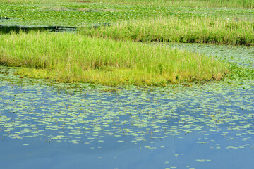 絶景の知床五湖を歩く

