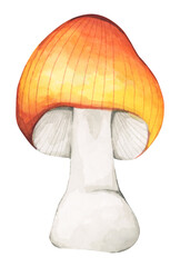 Watercolor painting of Forest mushroom.