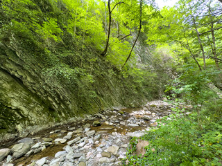 The river runs along the rocky cliffs in the mountains