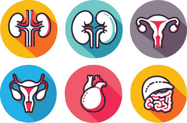 Vector illustration of six human internal organs icon art