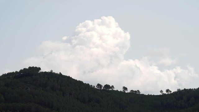 Time lapse of clouds in a landscape with pine trees and mountain relief