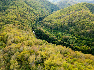 A mesmerizing aerial drone view flying above a dense green forest with rocky cliffs and a hidden river Veleka in Strandzha National Park, Bulgaria, capturing the untouched beauty of nature