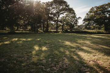 English countryside meadow in summer