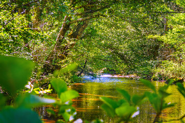 La Rivi&egrave;re de l'Orbieu en Occitanie fran&ccedil;aise. Elle prend sa source dans les Corbi&egrave;res audoises.